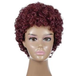 Wigs Hot Sale | Synthetic Wigs,Lace Fluffy Short Hair Curly Brown Wigs