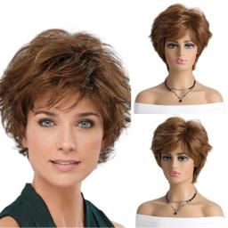 Caucasian Wigs, Ladies Wigs, Curly Synthetic Wigs-XIUNI-462