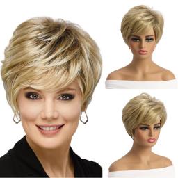 Caucasian Wigs, Ladies Wigs, Straight Synthetic Wigs-XIUNI-480