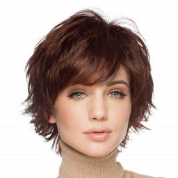 Wigs Hot Sale | Synthetic Wig Female, Short Wig With Bangs, Brown Wigs For Women Heat Resistant Women's Wigs